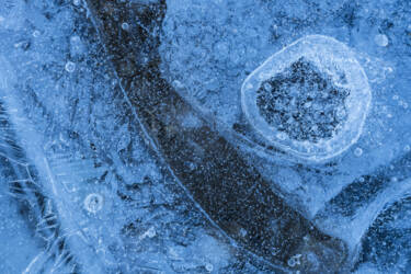 Ross Hoddinott | Nikon magazine