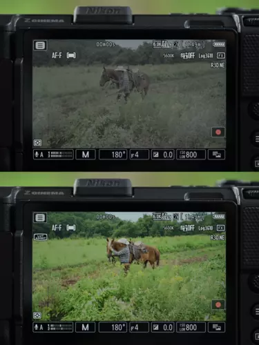 nikon-image