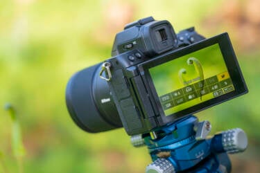 Nikon magazine - macro photography with spring flowers